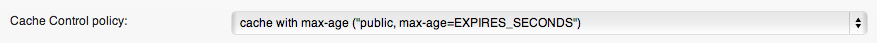W3 Total Cache plugin - Screenshot of cache control policy for static content
